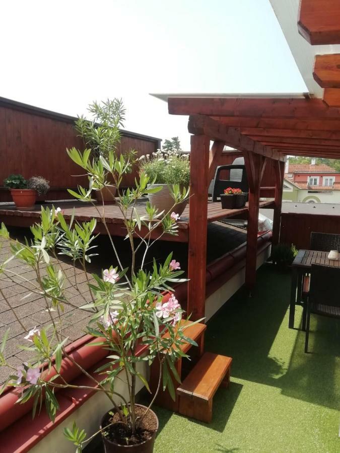 Penzion U Papousku Jindřichův Hradec Extérieur photo
